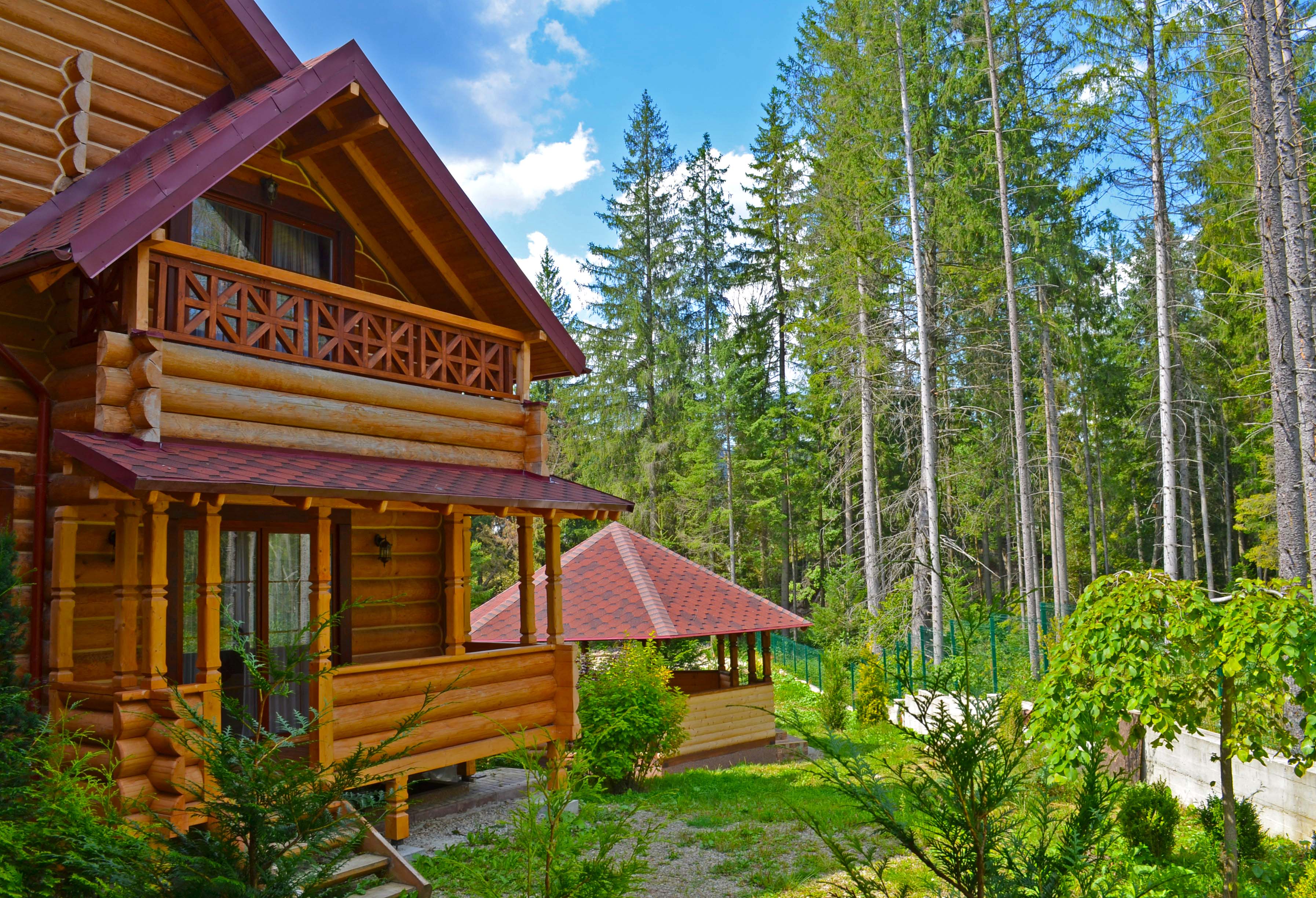 Чисті карпатські ліси