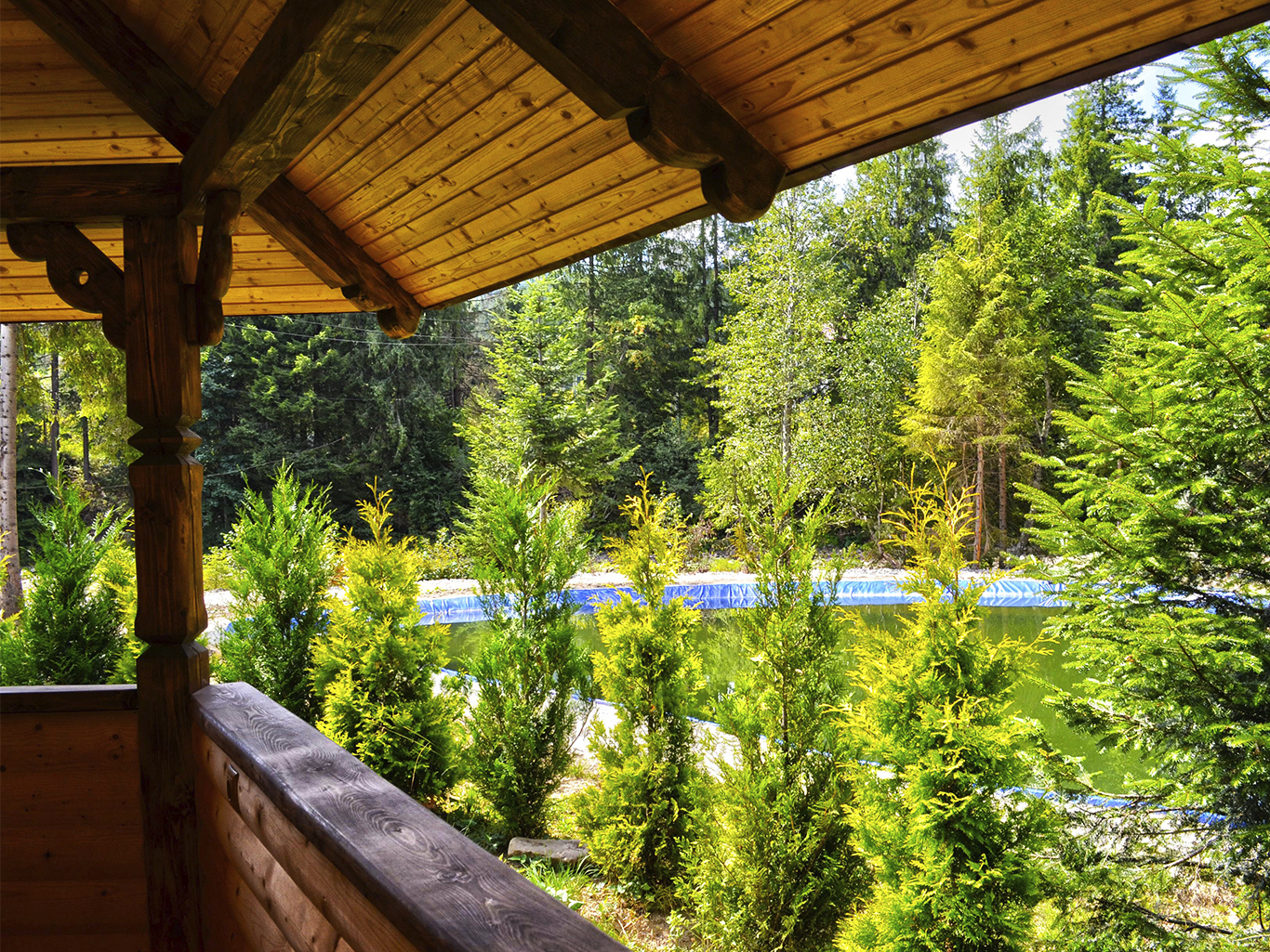  с. Мислівка, урочище Кам'янка, 3Б, Долинський р-н, Івано-Франківська обл.