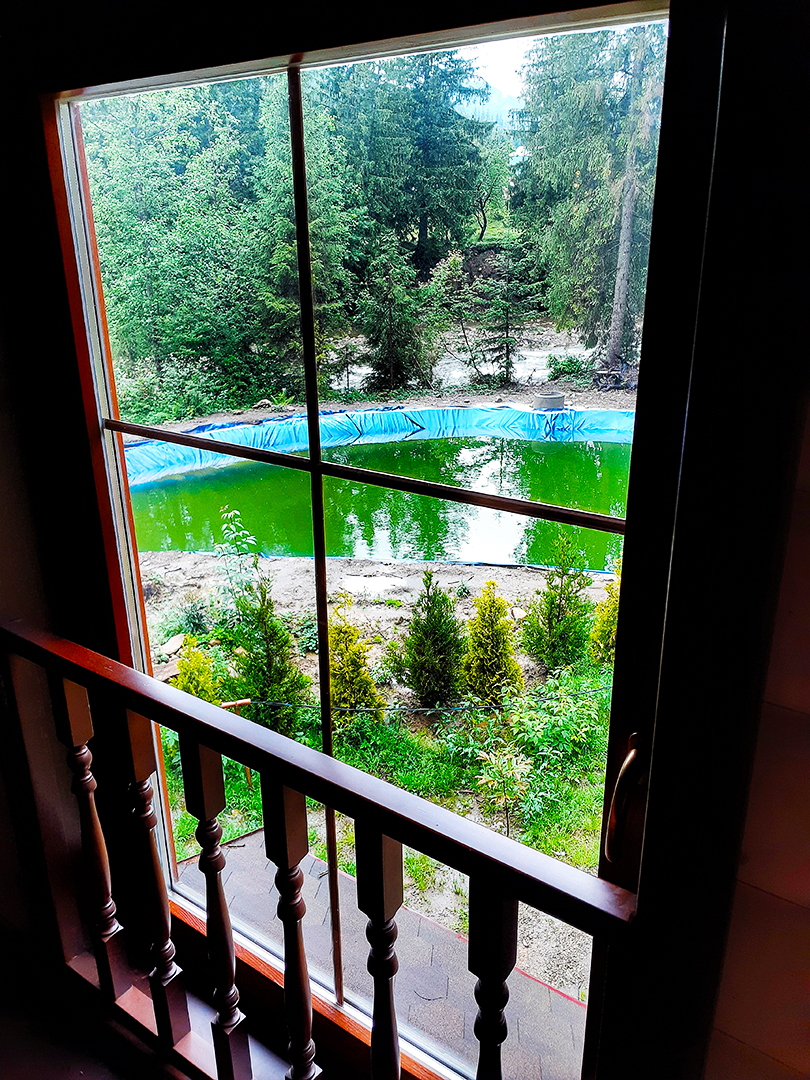 Навколо смерековий ліс